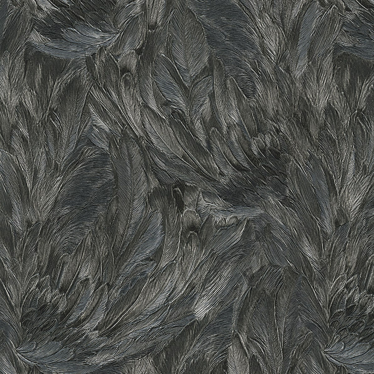 Papel pintado Plumas de la colección Nº 9 Roberto Cavalli - Negro Negro-1