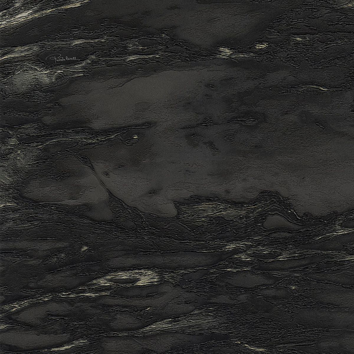 Papel pintado Marmoleado de la colección Nº 9 Roberto Cavalli - Negro Negro-1