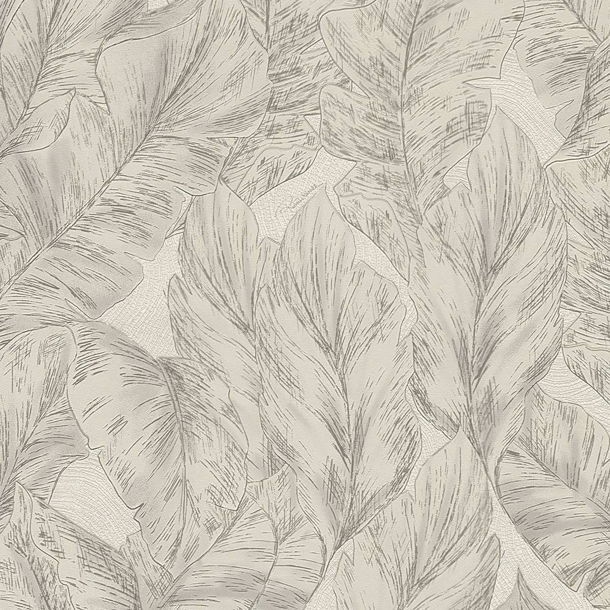 Papel pintado Hojas de la colección Nº 9 Roberto Cavalli - Gris Gris-1