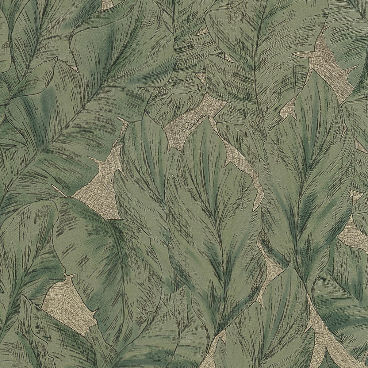 Papel pintado Hojas de la colección Nº 9 Roberto Cavalli - Verde Verde-1