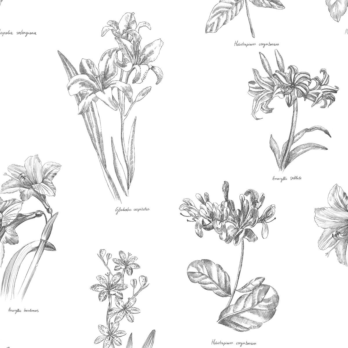 Imagem 0 de Papel de parede Botanic El Corte Inglés