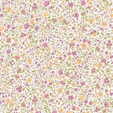 Multicolor Multicolor