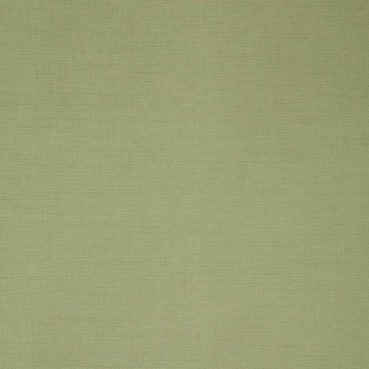 Imagen 1 de Papel pintado liso Naif El Corte Inglés - Verde Verde