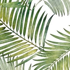 Verde Verde