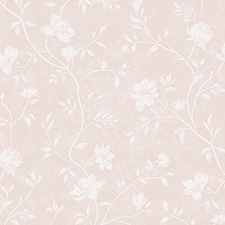 Rosa-pálido Rosa-pálido
