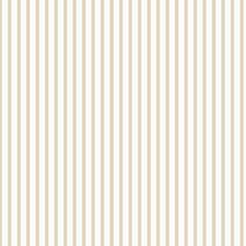 Taupe Taupe