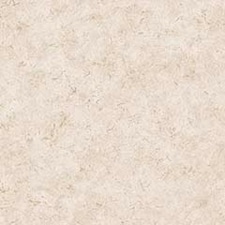 Taupe Taupe