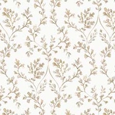 Taupe Taupe