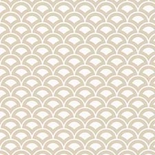 Taupe Taupe