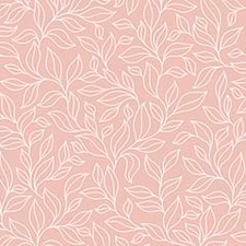 Rosa Rosa
