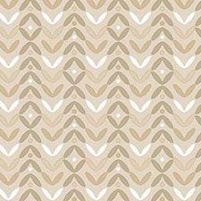 Taupe Taupe