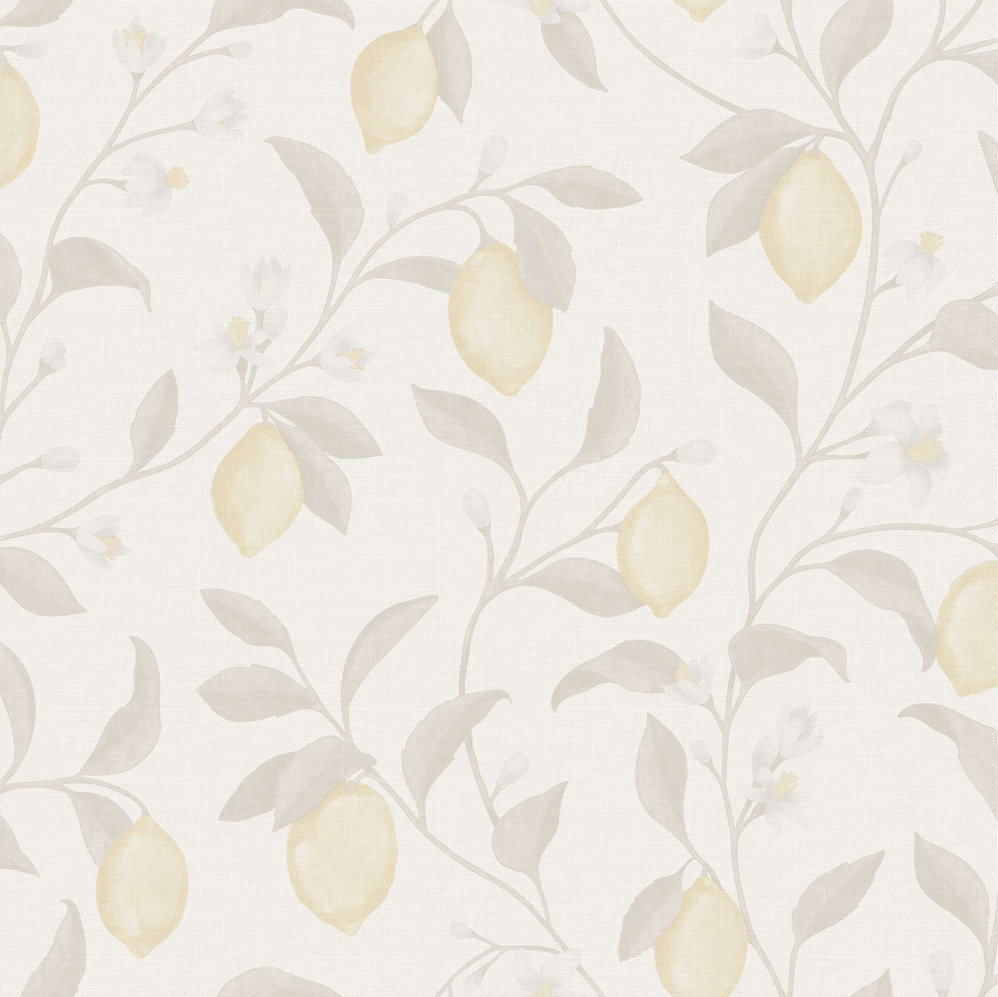 Imagen 1 de Papel pintado Citrus de la colección Goya ICH - Gris Gris