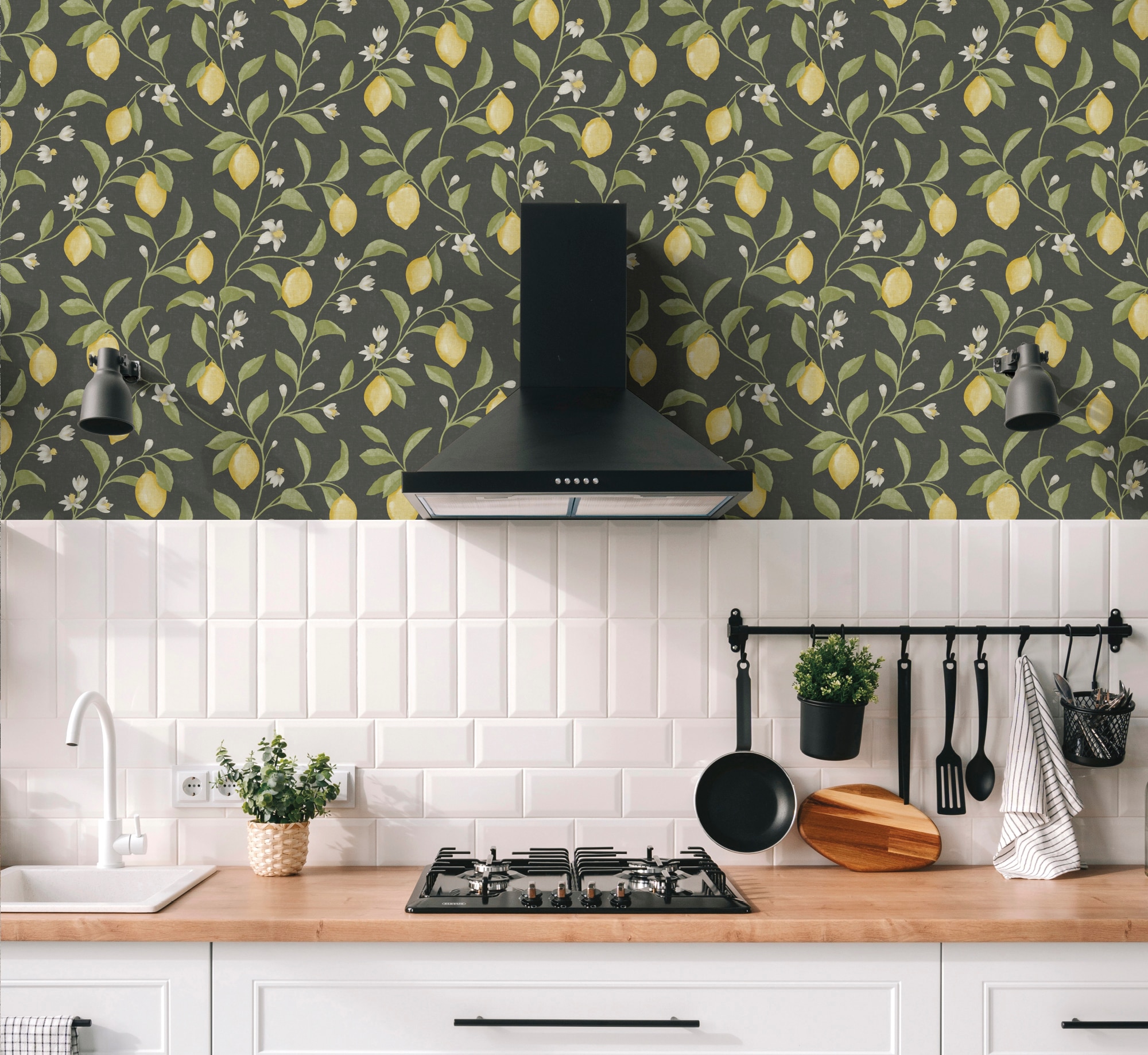 Papel de Parede Citrus da Coleção Goya Preto-2