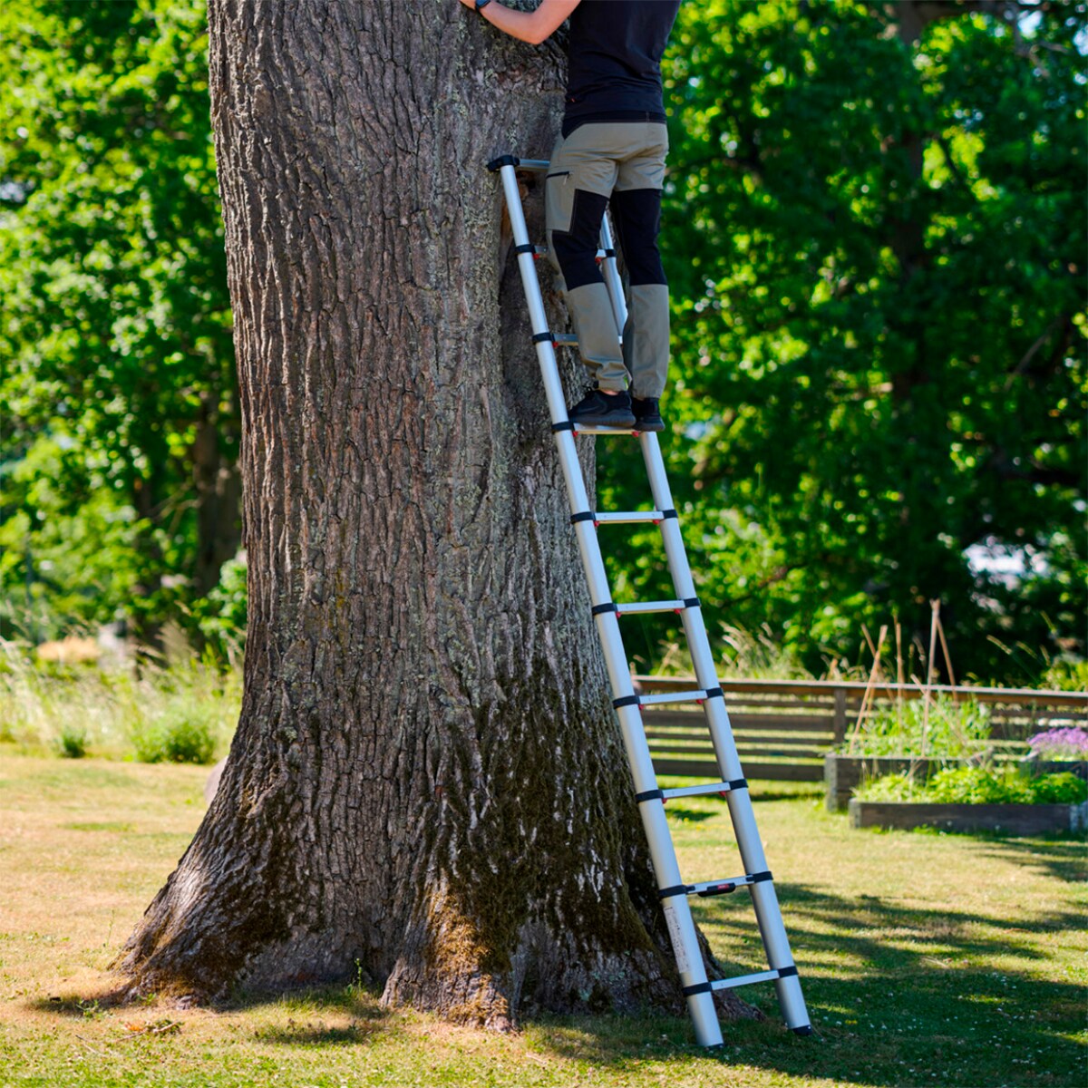 Escada Telescópica Eco Line - 3,80 m 4