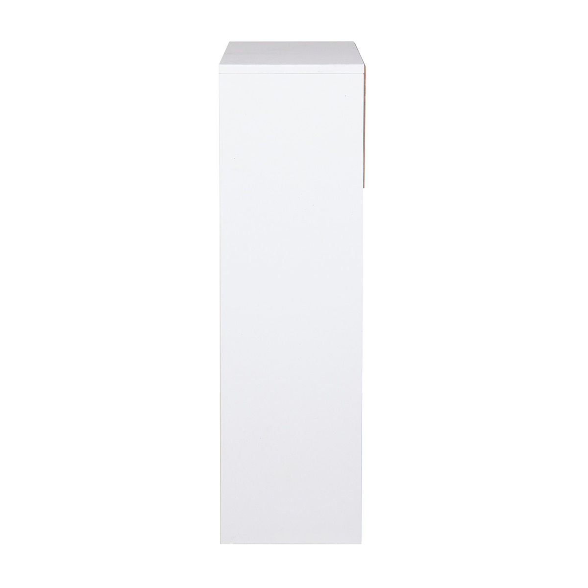 Mueble Zapatero 2 Puertas Blanco-4