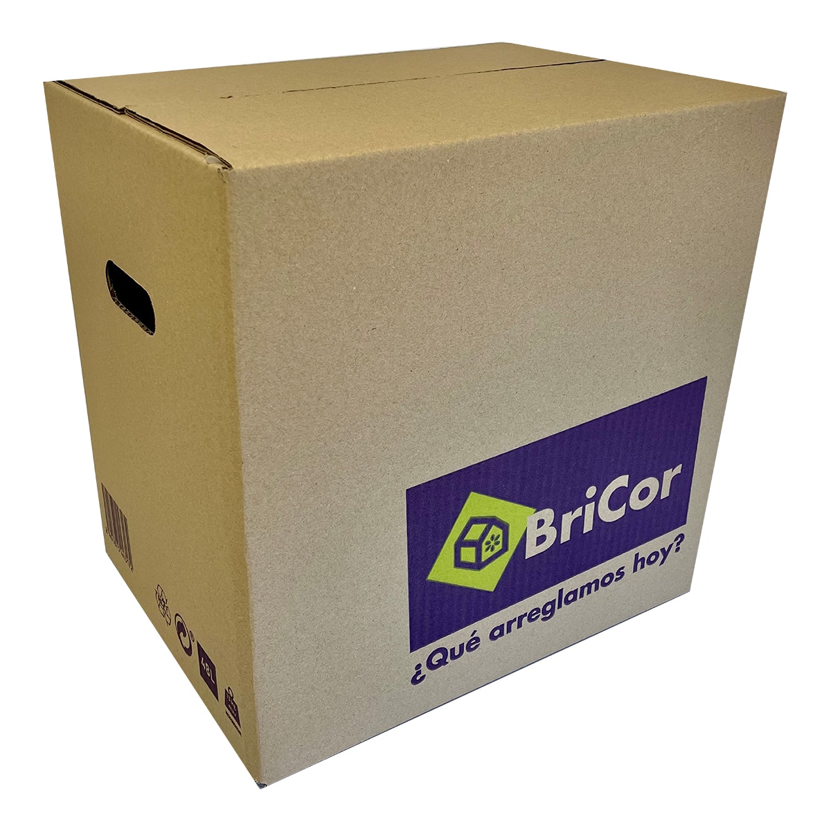 Imagem 0 de Caixa de Mudança com Asas 48 L - 40x40x30 cm