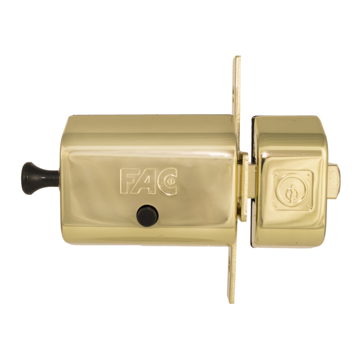 FAC - Cerrojo Seguridad Acorazado 546-RP.