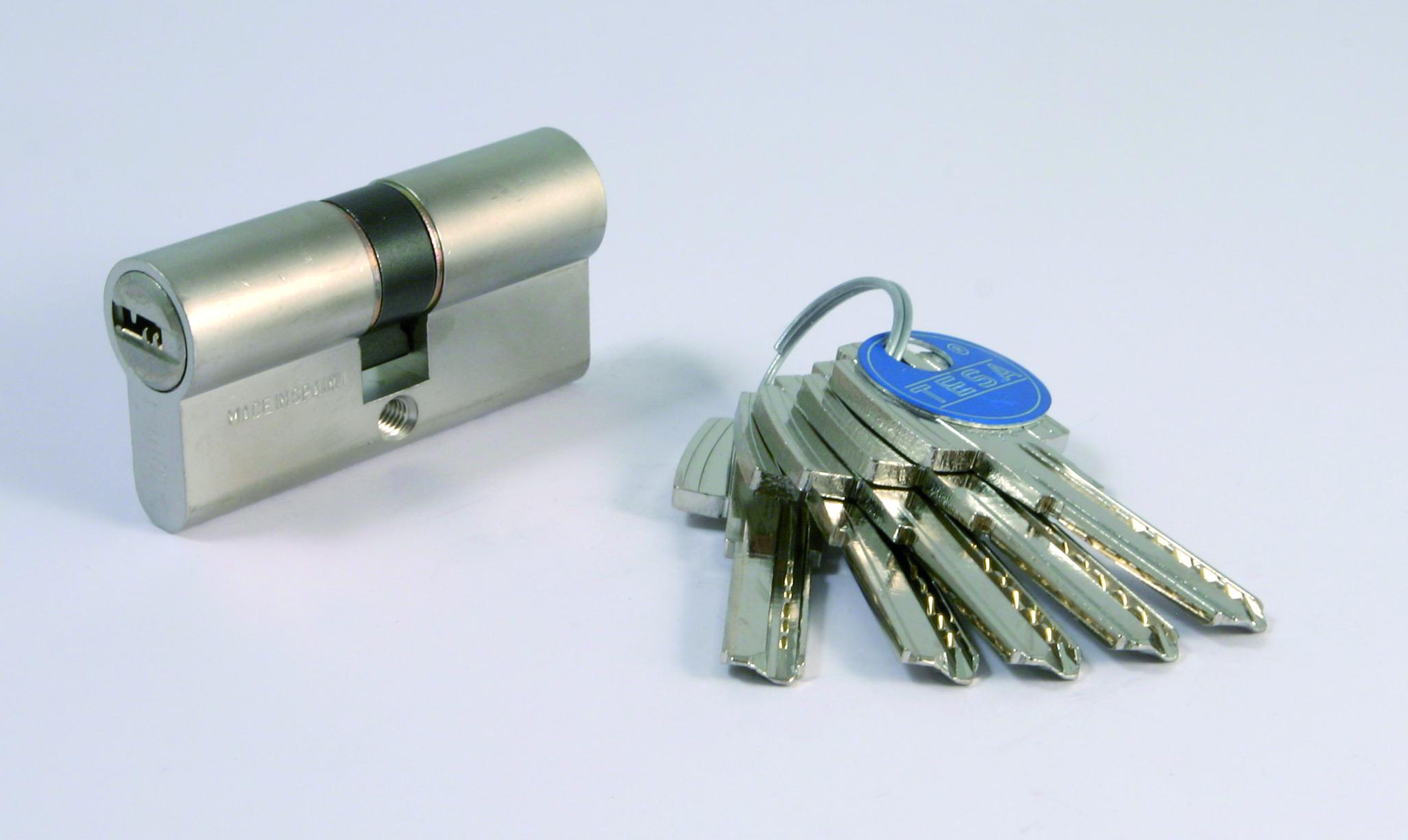 Tesa - Cilindro Seguridad Estándar Leva Larga 30 X 30 mm.