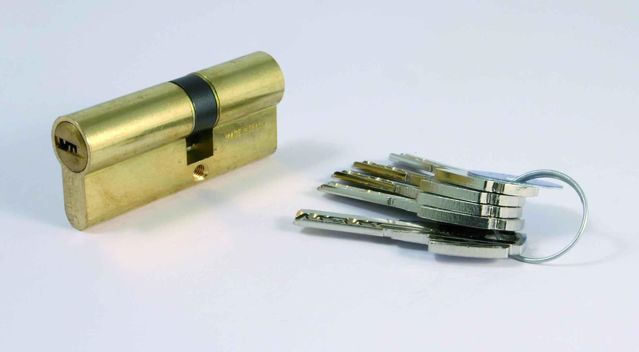 Tesa - Cilindro Seguridad Estándar Leva Larga 30 X 30 mm.