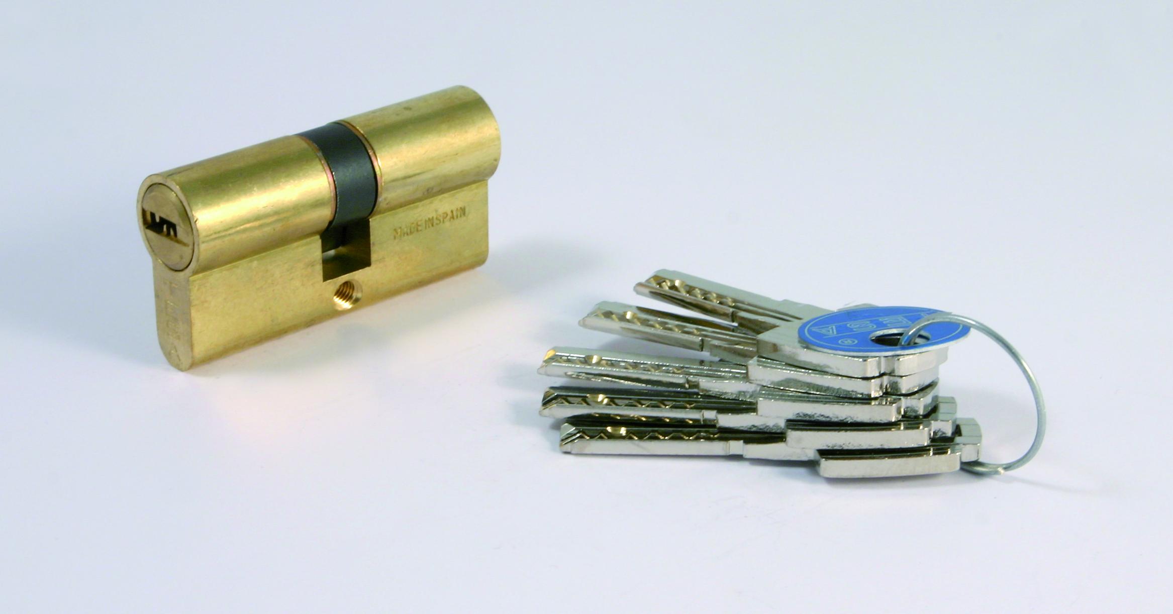 Tesa - Cilindro Seguridad Estándar Leva Larga 30 X 30 mm.