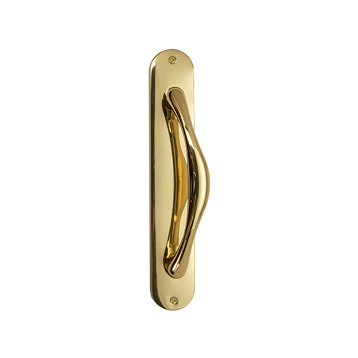 Tirador Puerta de Paso con Placa 200 x 60 x 62 mm Pulido-1
