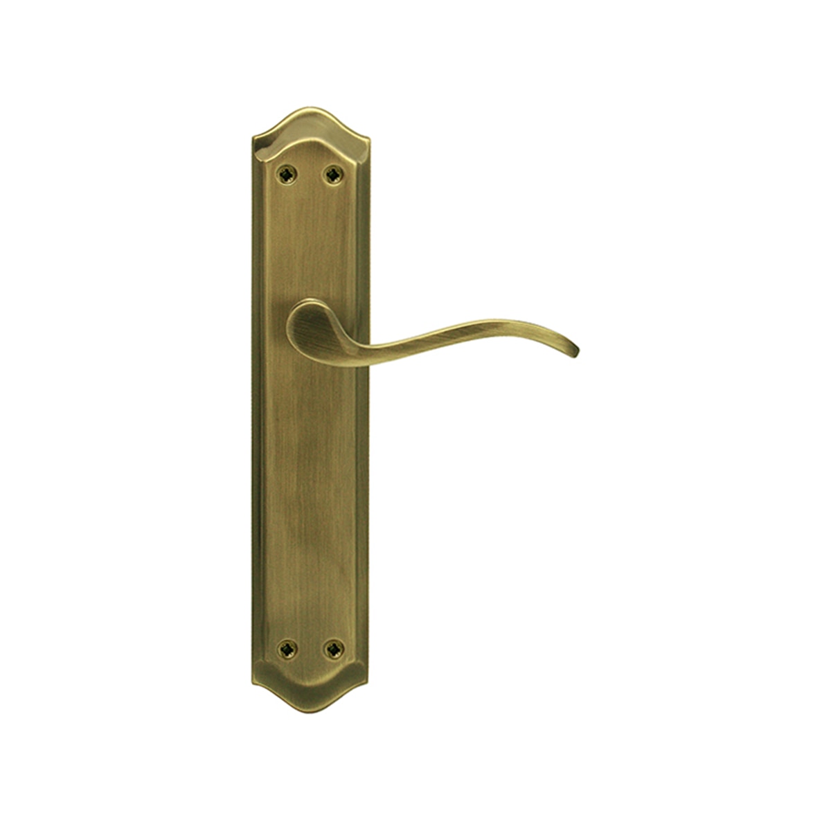 Juego Manilla con Placa 256 x 120 x 55 mm Cuero-1
