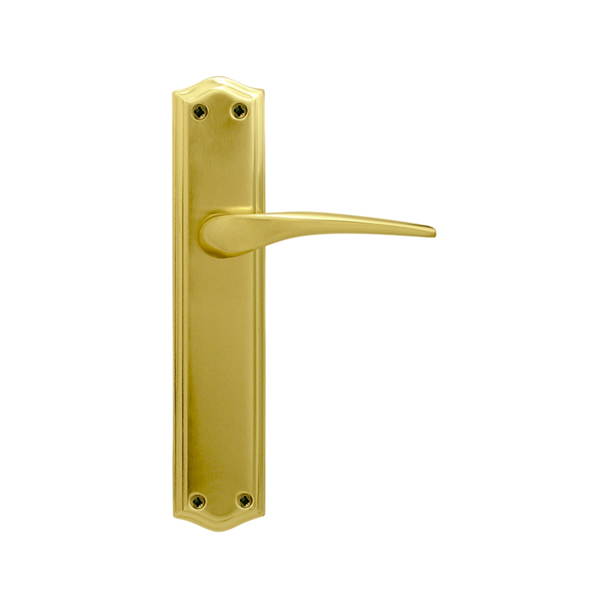 Juego Manilla de Placa 285 x 141 x 60 mm Dorado Pulido Satinado-1