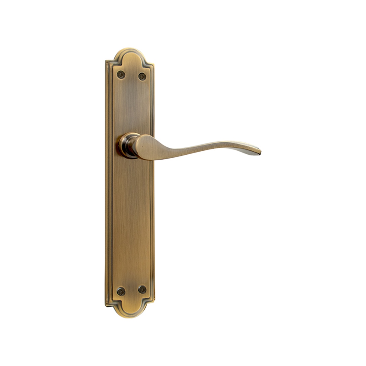 Juego Manilla de Placa 242 x 135 x 45 mm Cuero-1