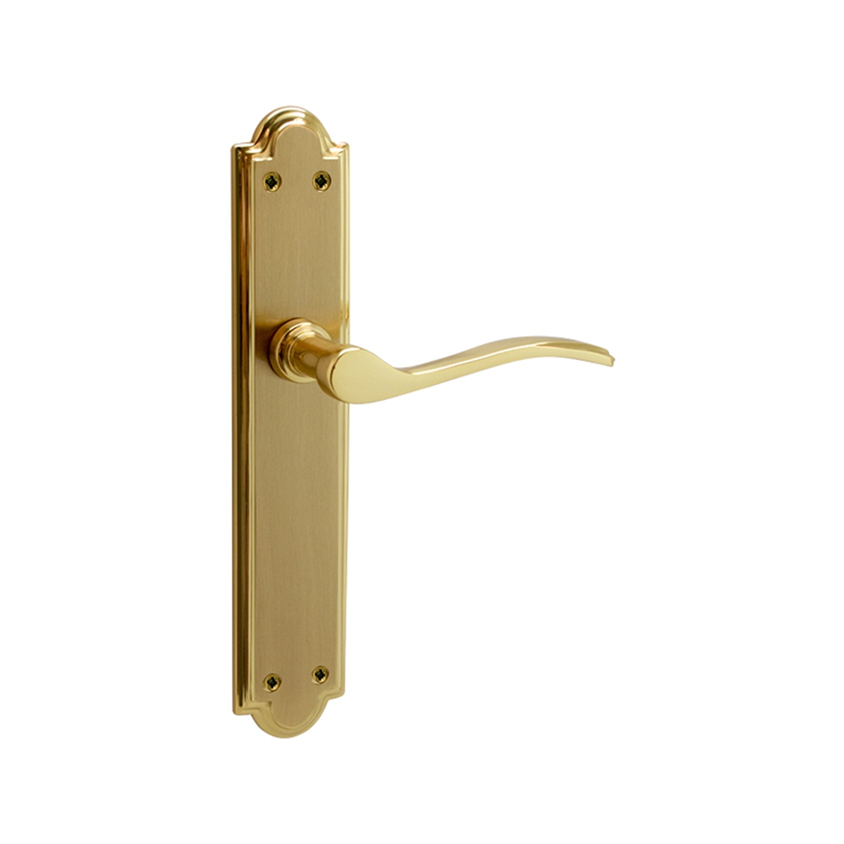 Juego Manilla de Placa 242 x 135 x 45 mm Dorado Pulido Satinado-1