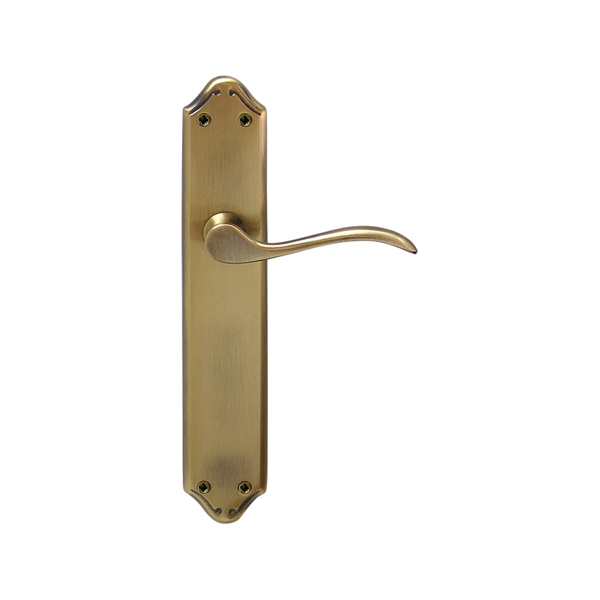 Juego Manilla de Placa 255 x 130 x 55 mm Cuero-1