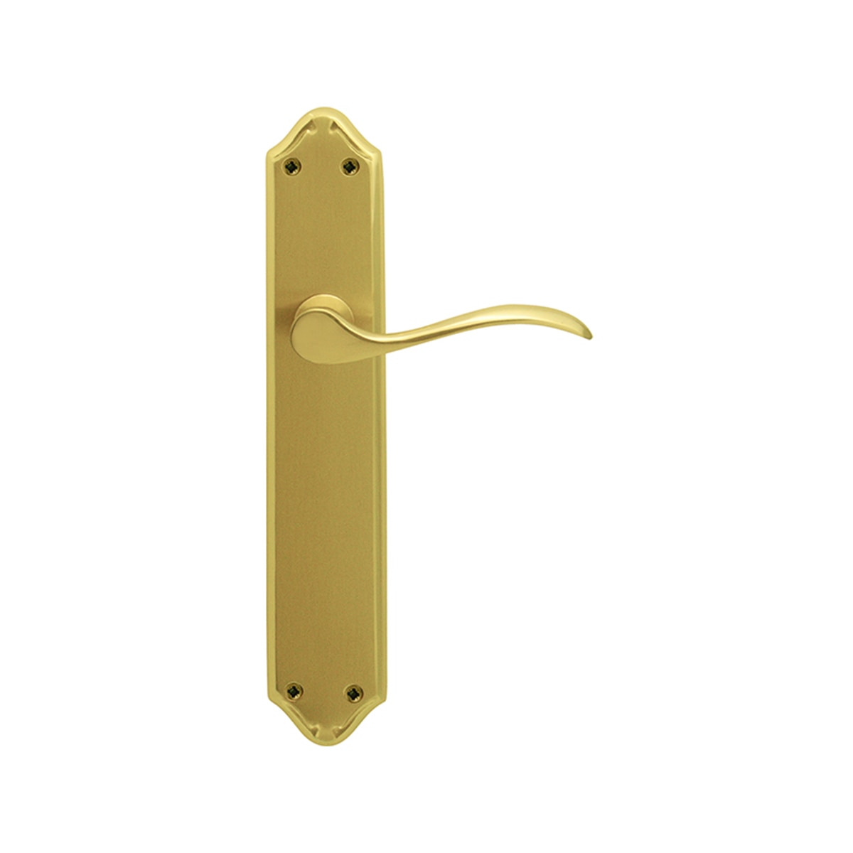 Juego Manilla de Placa 255 x 130 x 55 mm Dorado Pulido Satinado-1