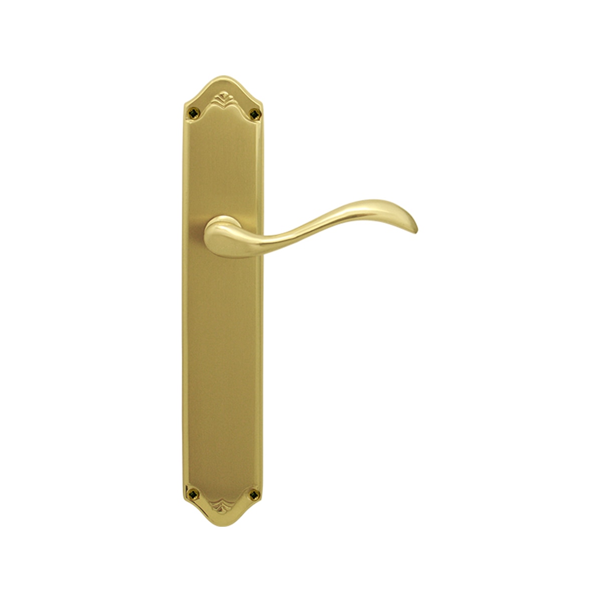 Juego Manilla de Placa 280 x 135 x 58 mm Dorado Pulido Satinado-1