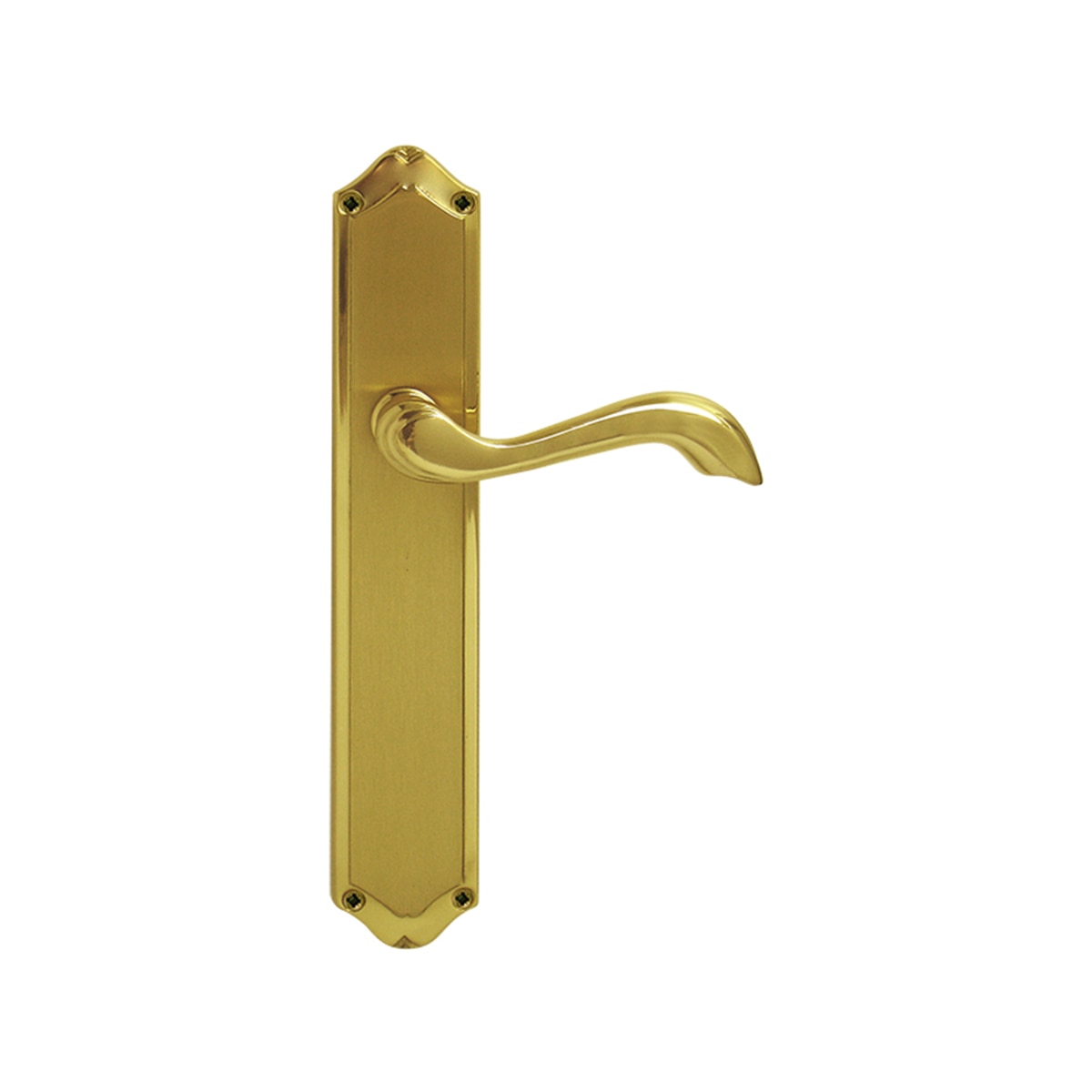 Juego Manilla de Placa 276 x 135 x 60 mm Dorado Pulido Satinado-1