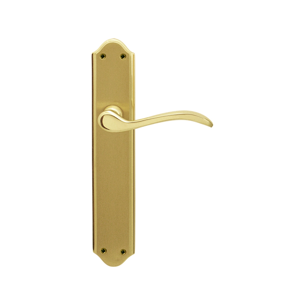 Juego Manilla de Placa 256 x 135 x 56 mm Dorado Pulido Satinado-1