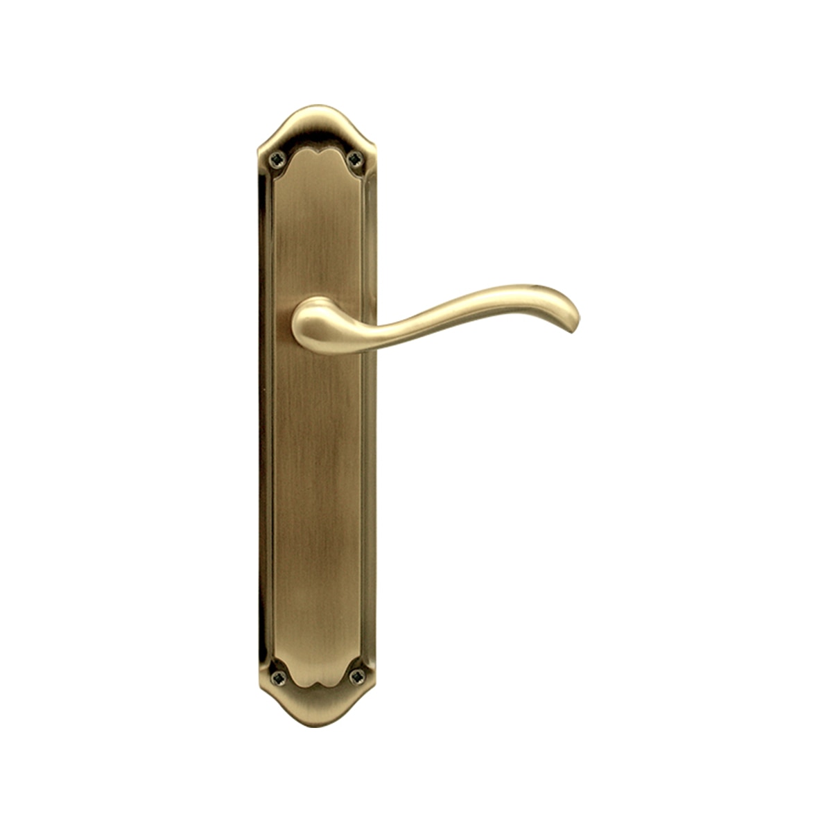 Juego Manilla de Placa 273 x 135 x 59 mm Cuero-1