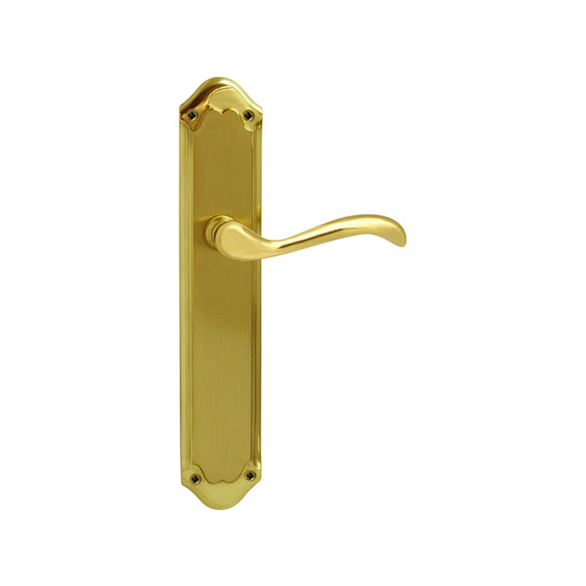 Juego Manilla de Placa 273 x 135 x 59 mm Dorado Pulido Satinado-1