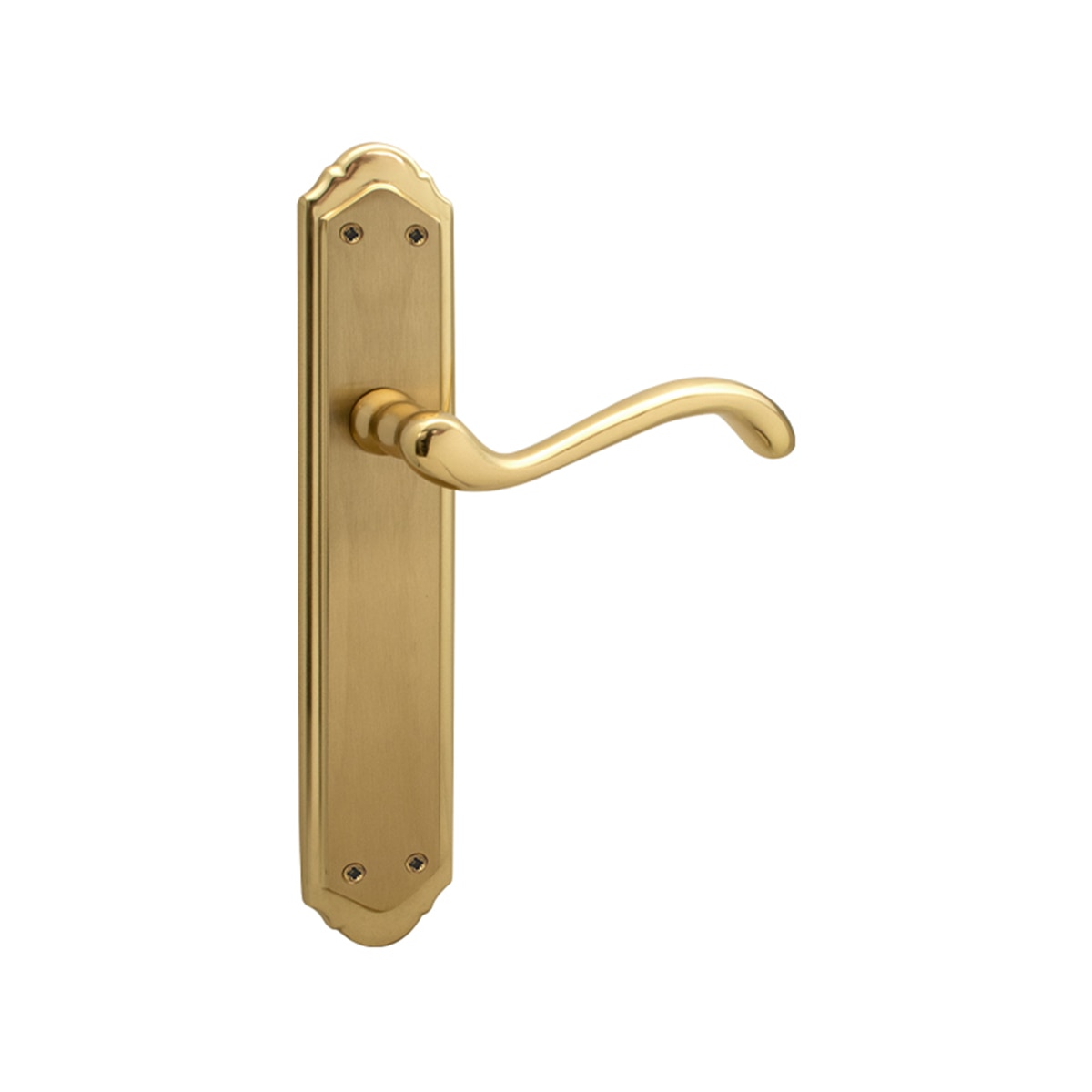 Juego Manilla de Placa 263 x 135 x 55 mm Dorado Pulido Satinado-1