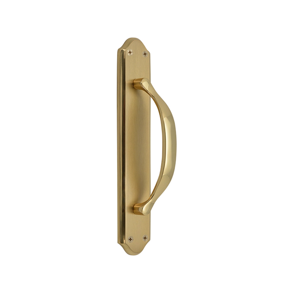 Tirador de Placa para Puertas Interior 256 x 49 x 48 mm Dorado Pulido Satinado-1