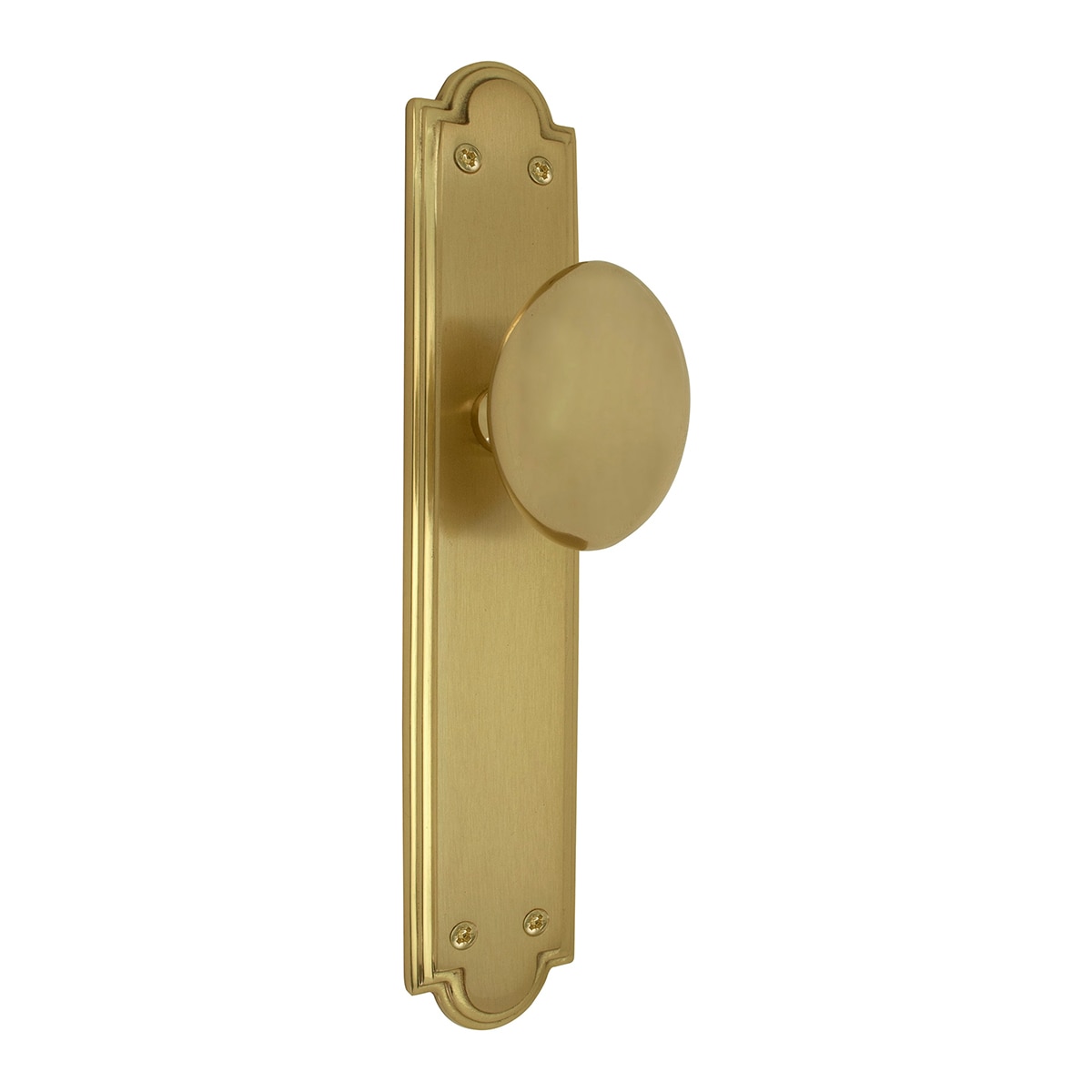 Pomo con Placa para Puertas de Paso Interior 242 x 45 x 48 mm Dorado Pulido Satinado-1