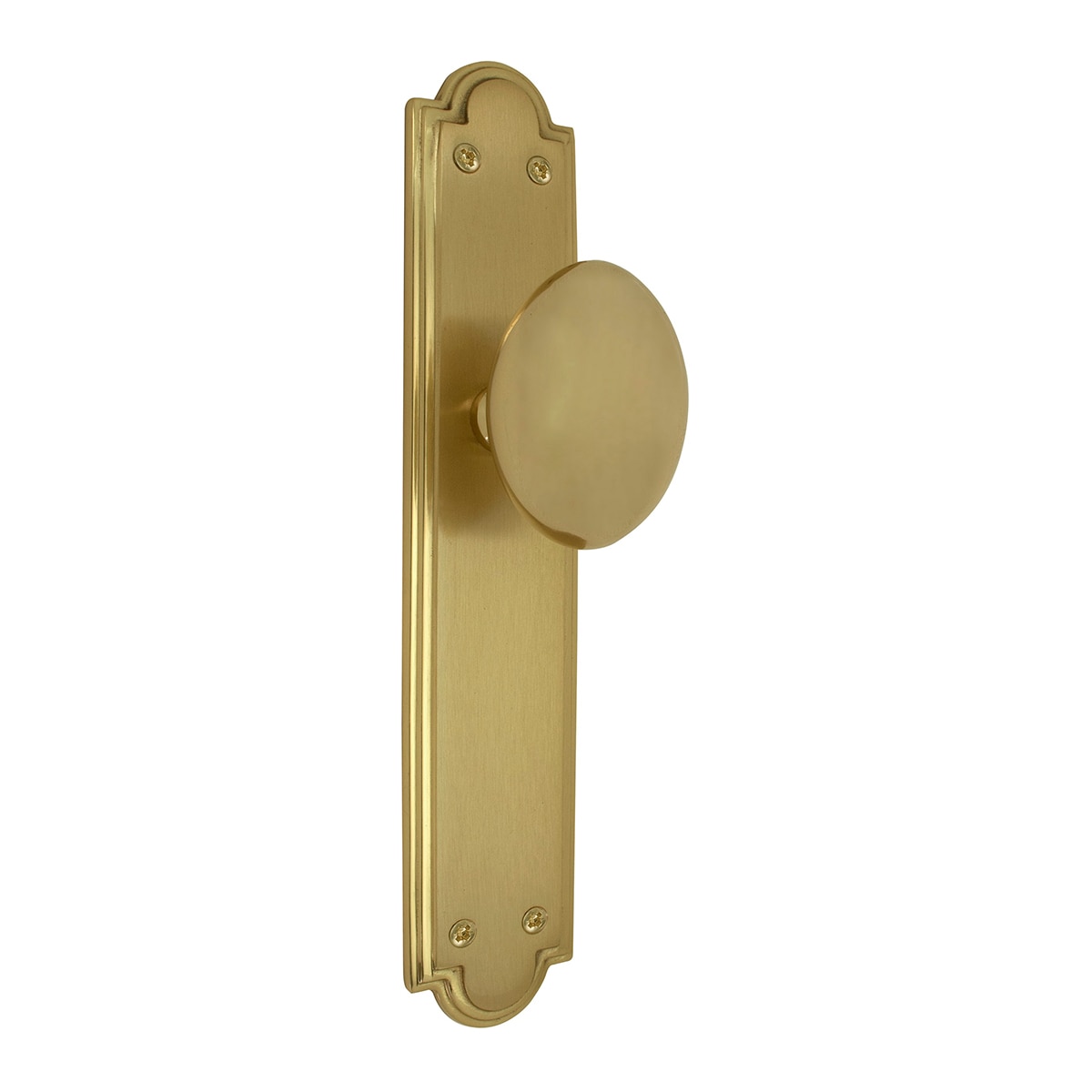 Pomo con Placa para Puertas de Paso Interior 242 x 45 x 48 mm Dorado Pulido Satinado-1