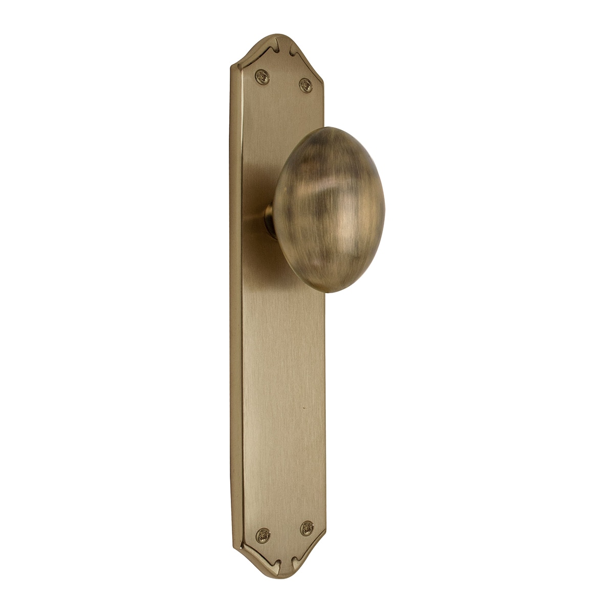 Pomo con Placa para Puertas de Paso Interior 255 x 45 x 48 mm Cuero-1