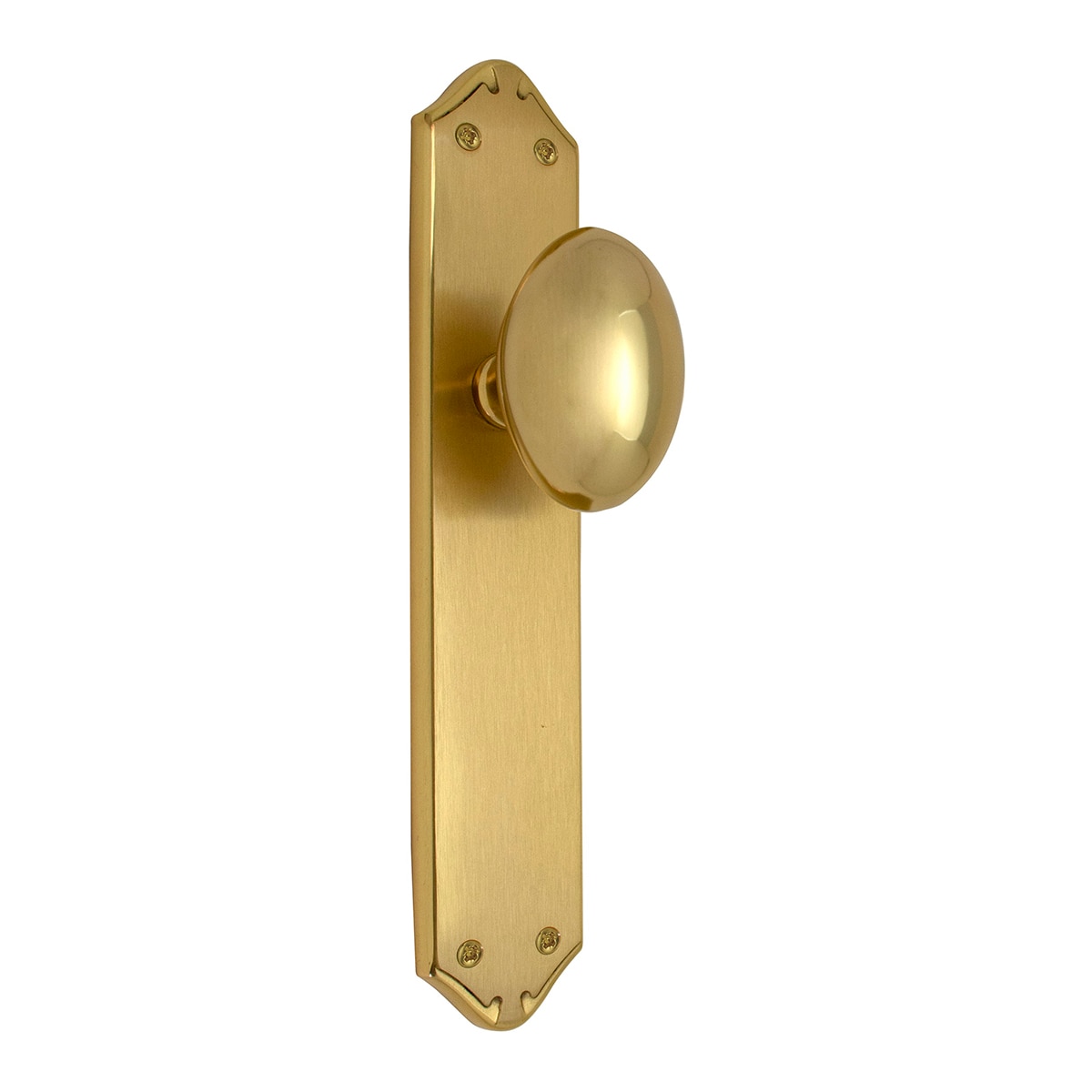 Pomo con Placa para Puertas de Paso Interior 255 x 45 x 48 mm Dorado Pulido Satinado-1