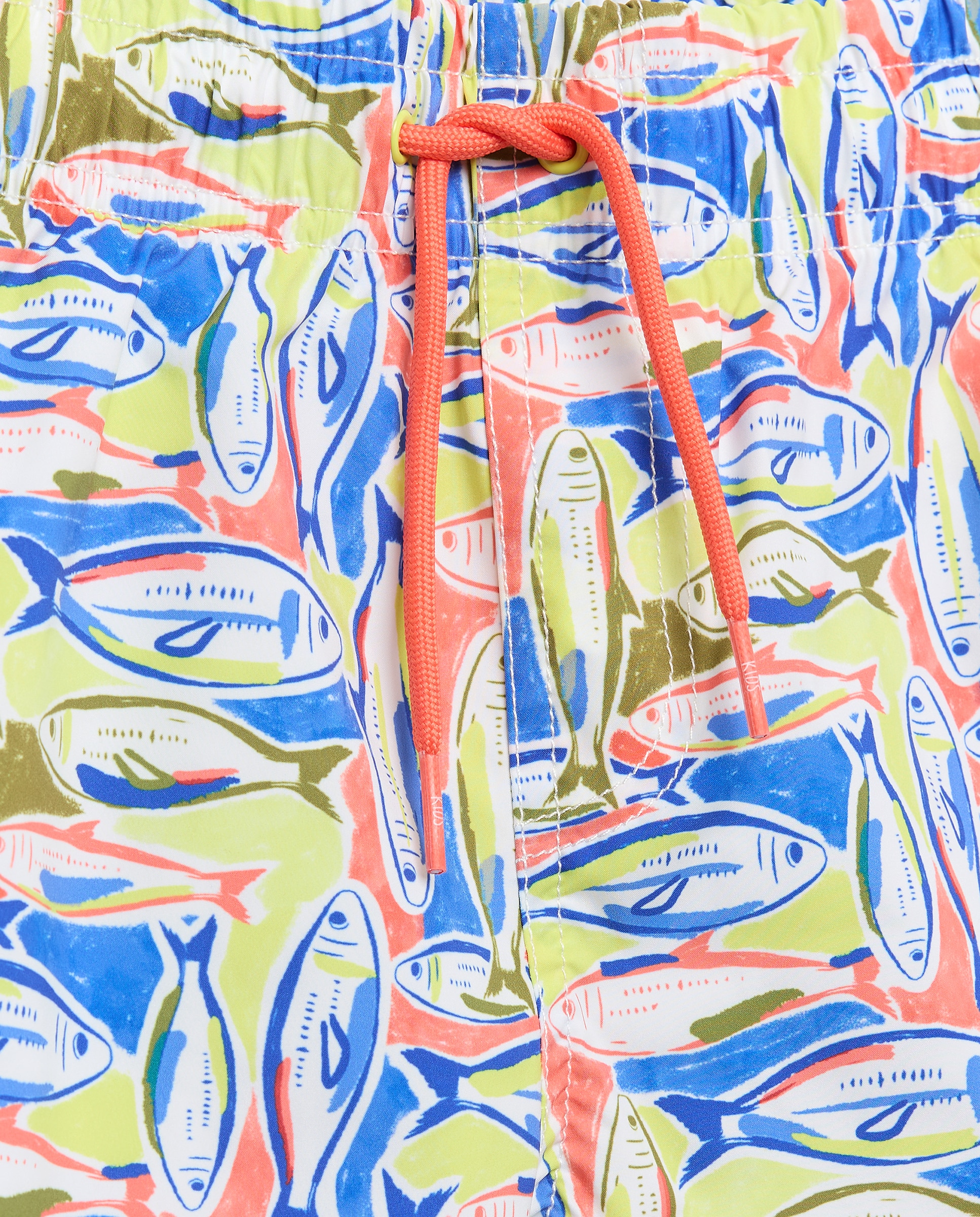 Bermudas às Cores com Peixes Abstratos Multicolor-5