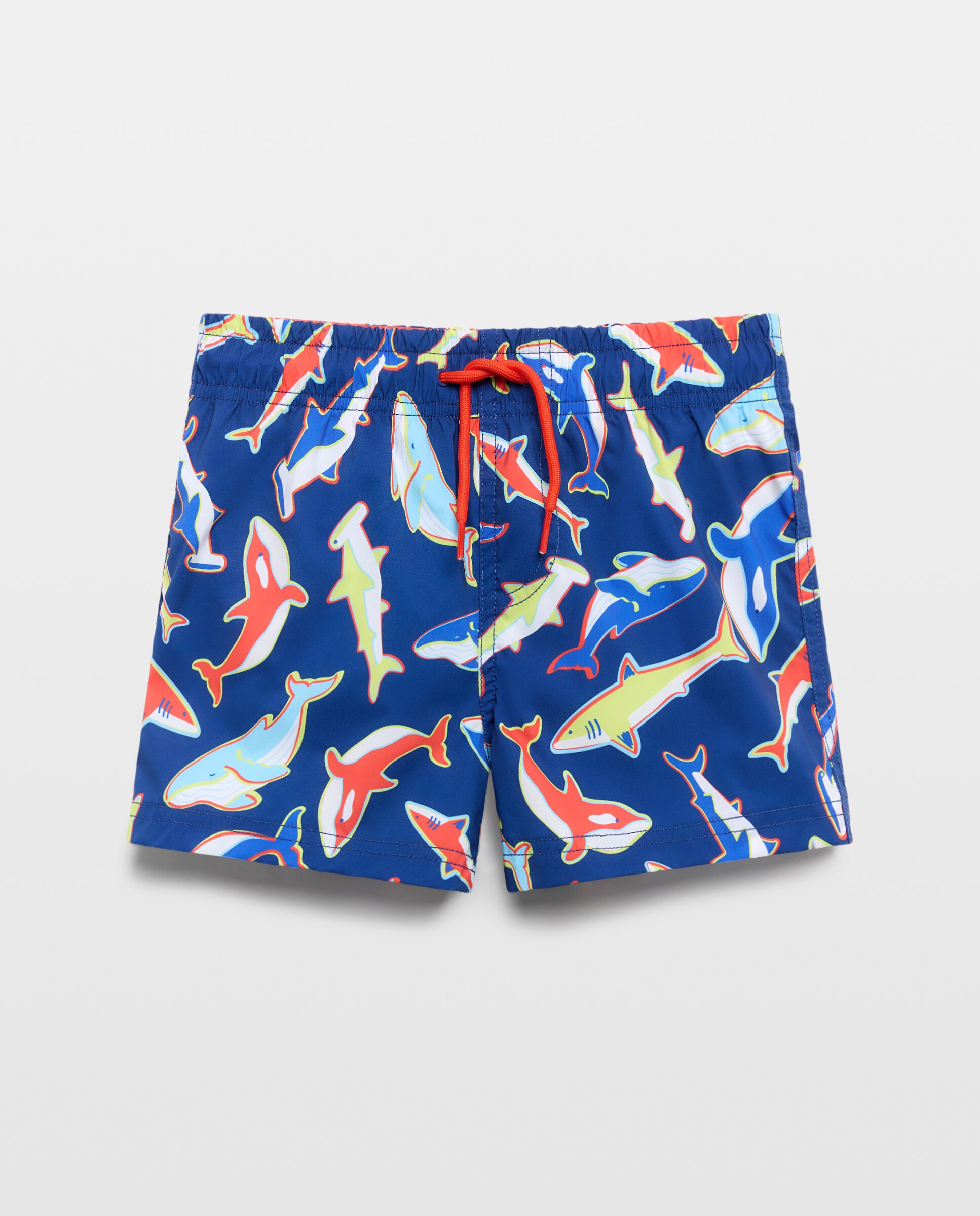 Calções de Banho de Algodão Bordado Kids El Corte Inglés Azul-5