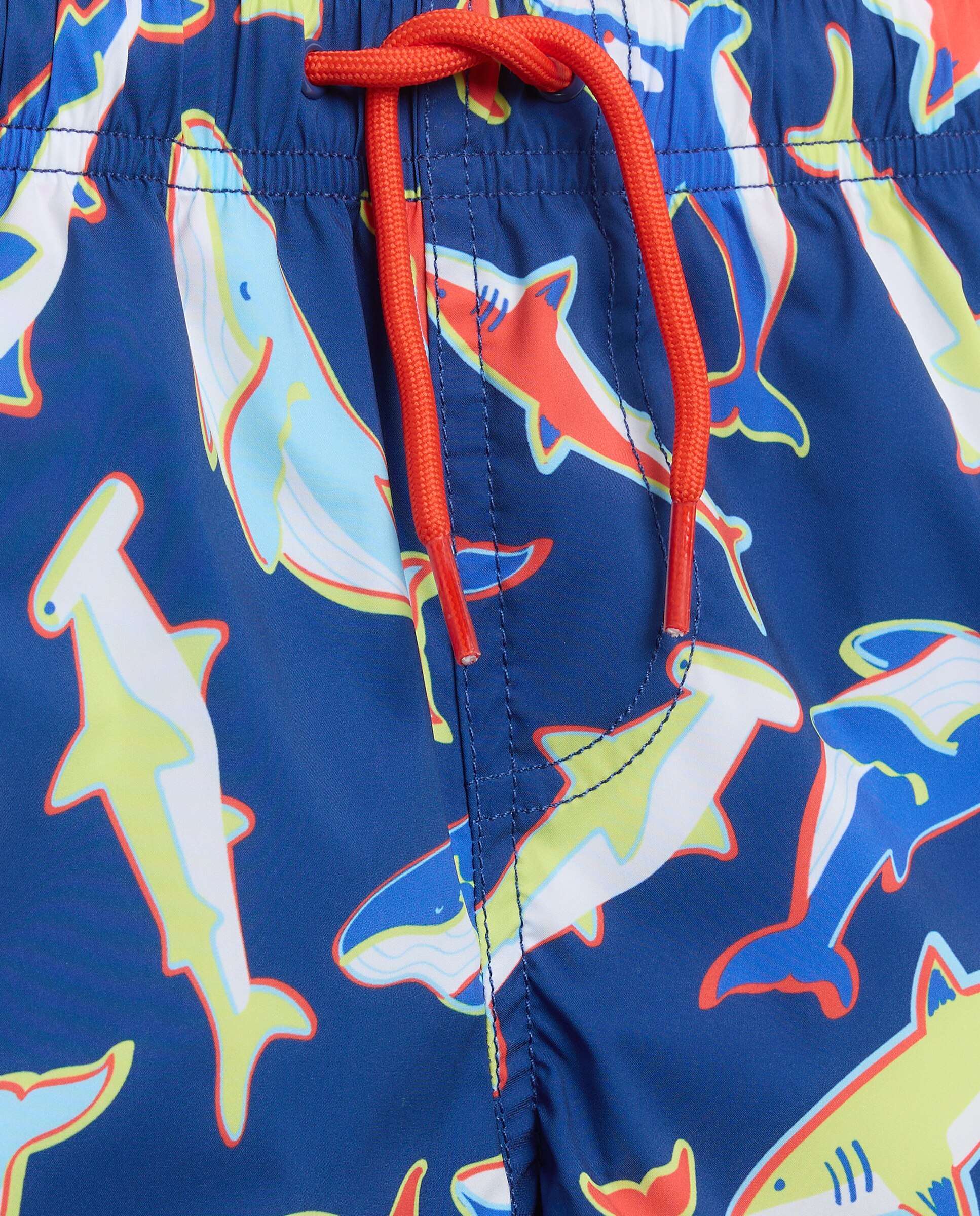 Calções de Banho de Algodão Bordado Kids El Corte Inglés Azul-6