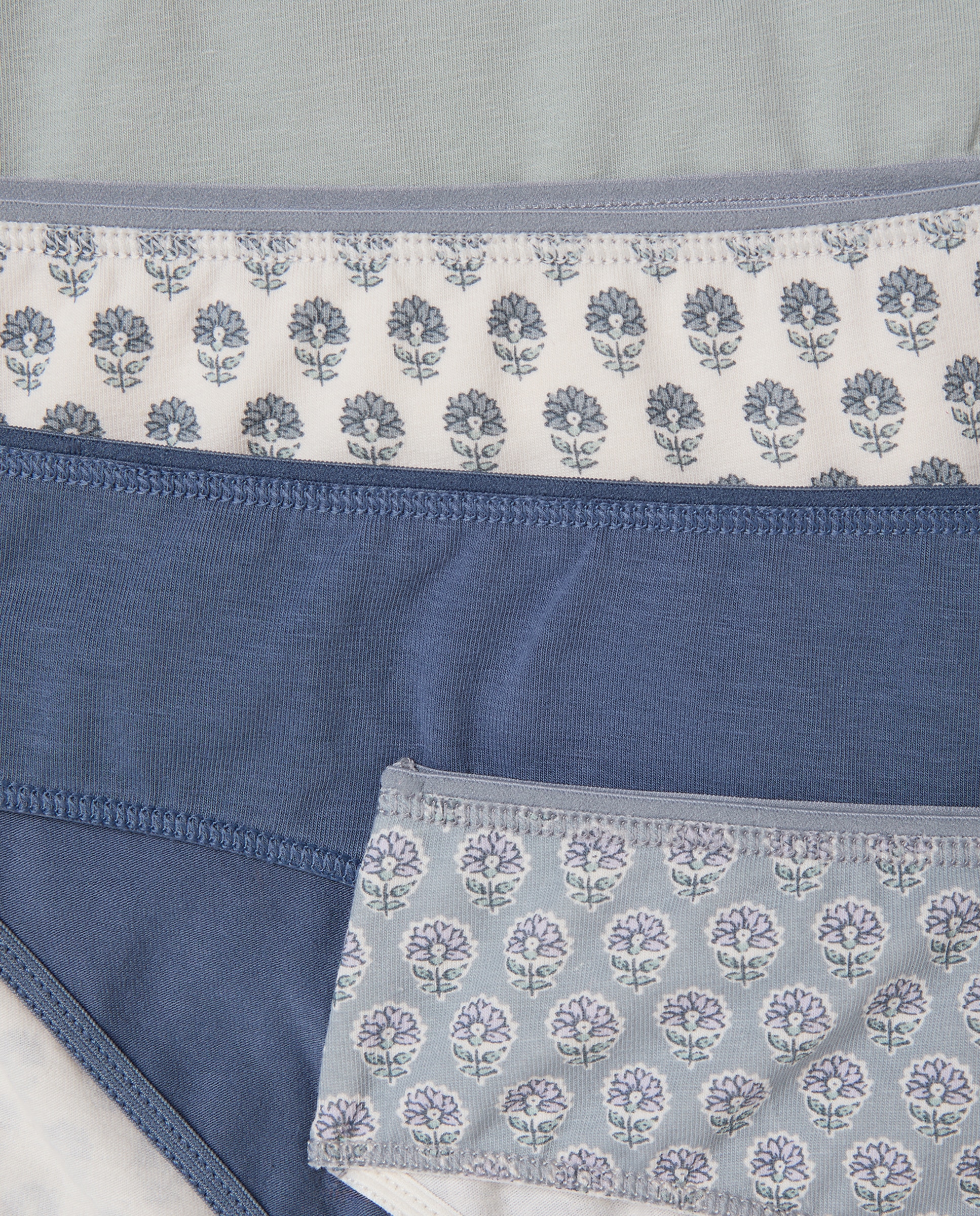 Pack cinco bragas bikini algodón estampadas 400 Azul-4