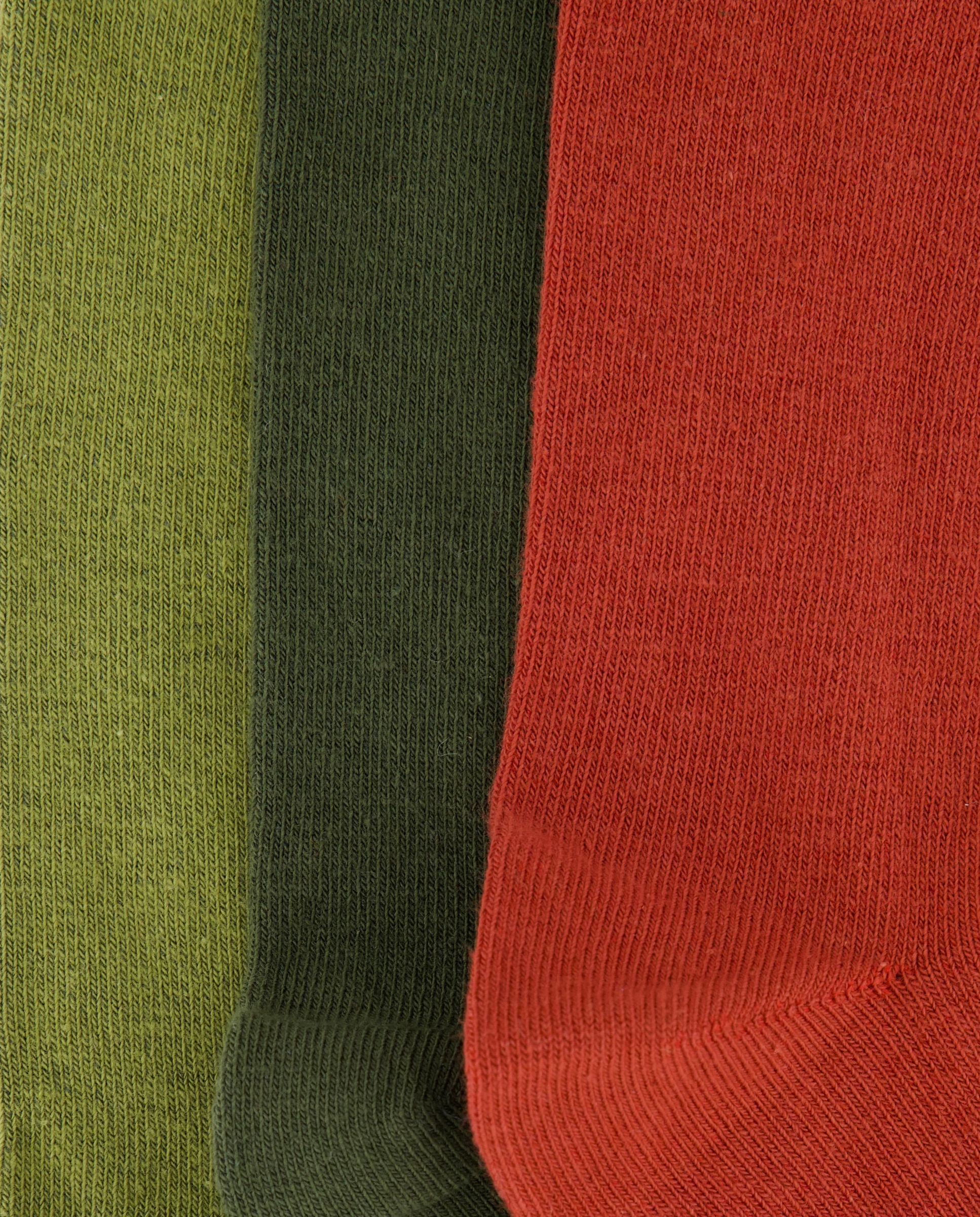 Pack 3 calcetines mujer antipresión Verde-2
