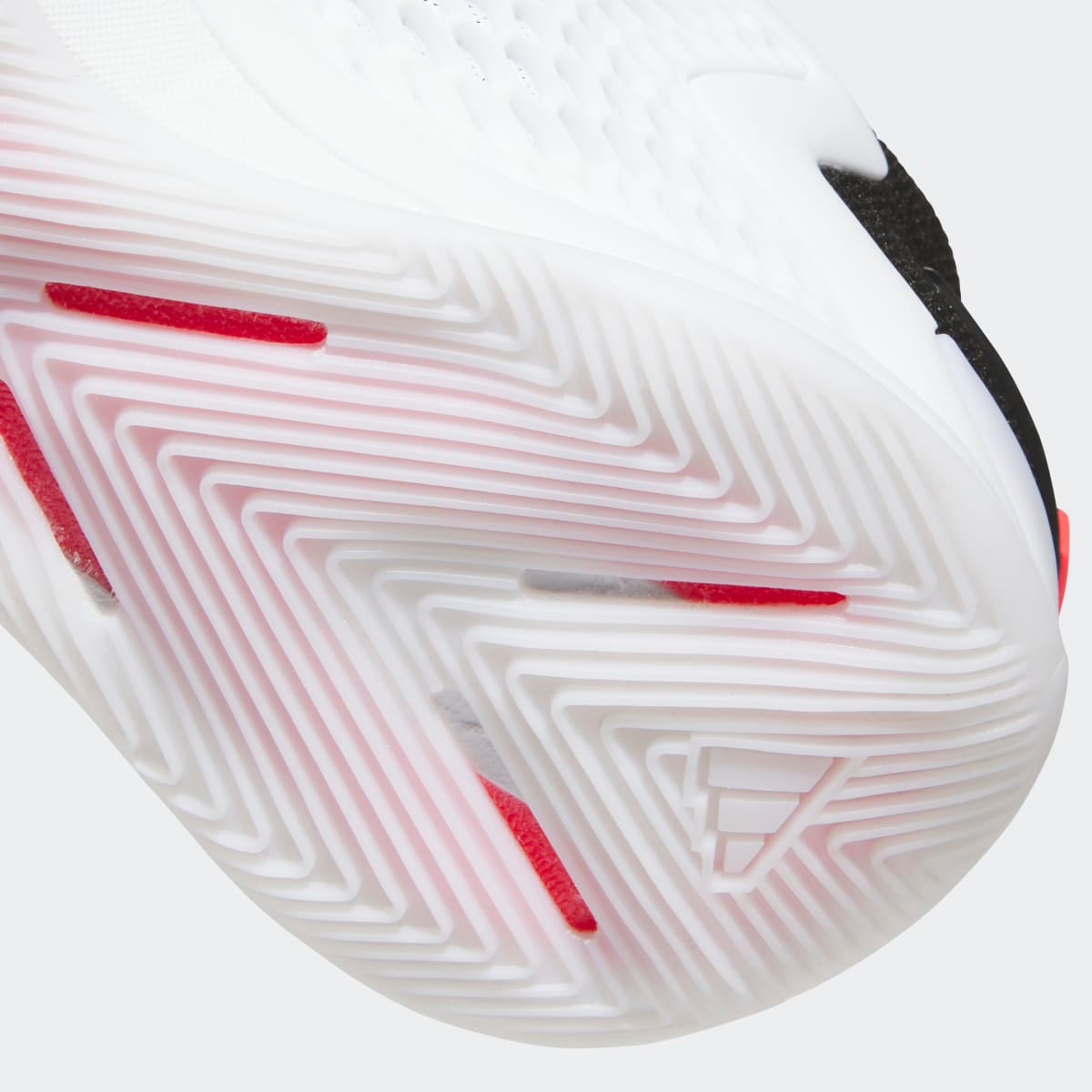 Sapatilhas de Basquetebol de Homem Anthony Edwards 1 Cinzento / Preto-8