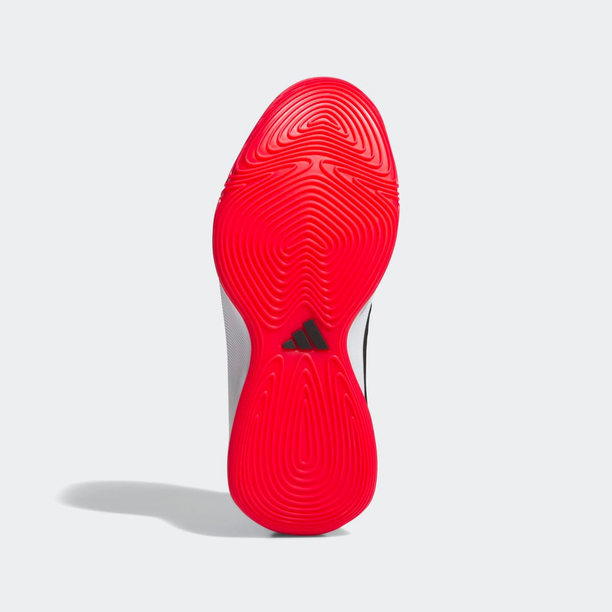 Sapatilhas de Basquetebol de Homem Initiation Preto / Vermelho-6