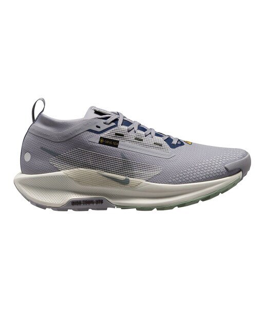 Sapatilhas de Trail Running de Homem Pegasus Trail 5 Gore-Tex Cinzento-1
